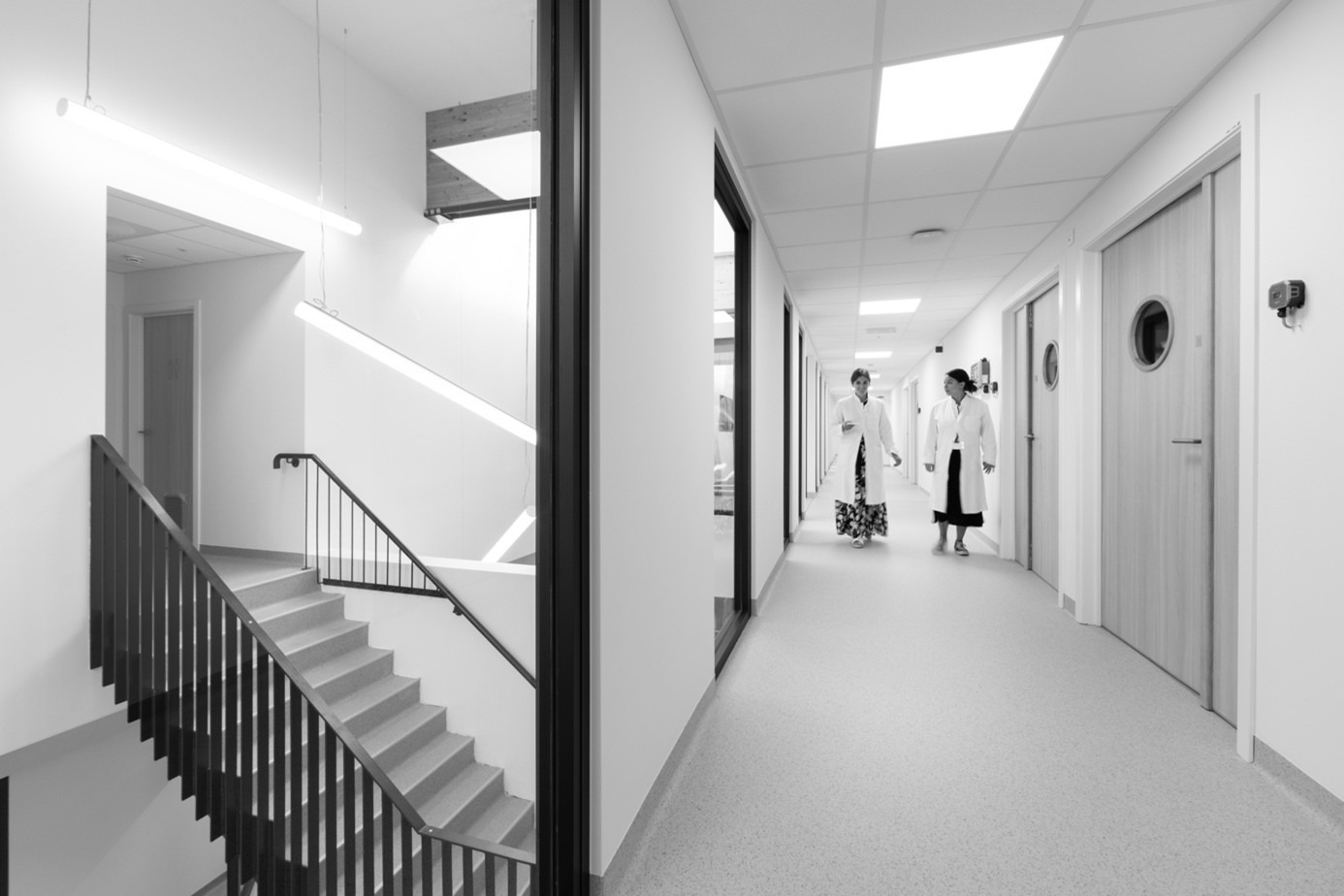 BSL laboratory