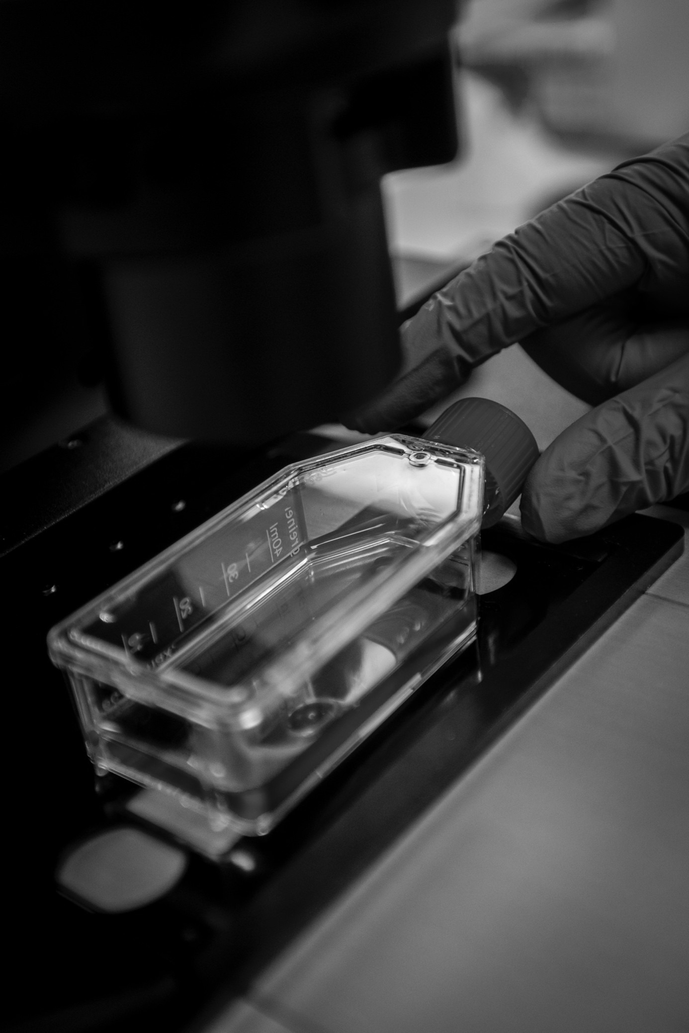 BSL laboratory